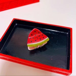 Watermelon 🍉 Hair Claw mini